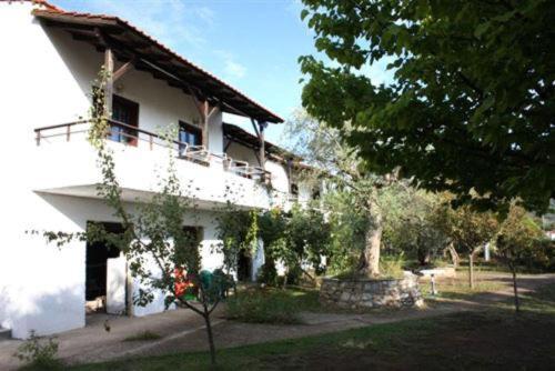 Olive Studios And Apartments Skala Potamia  Buitenkant foto